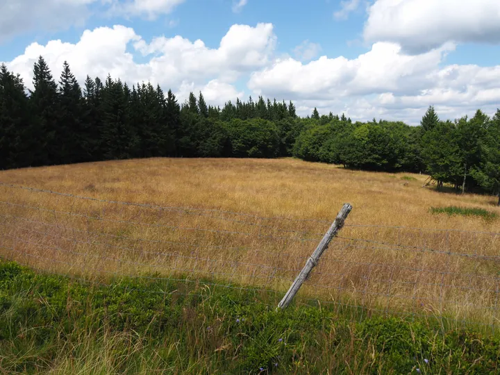 Le Grand Ballon (Frankrijk)